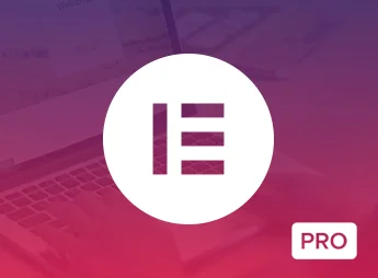 plugin_elementor